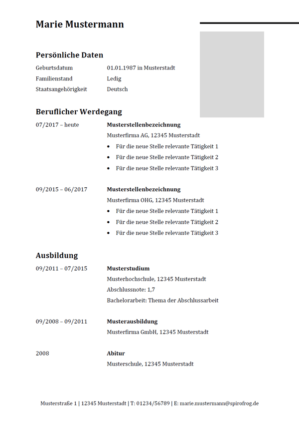 Vorlage / Muster: Komplettes Lebenslauf-Layout 6