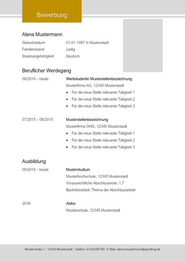 Vorlage / Muster: Lebenslauf Berufseinsteiger 3