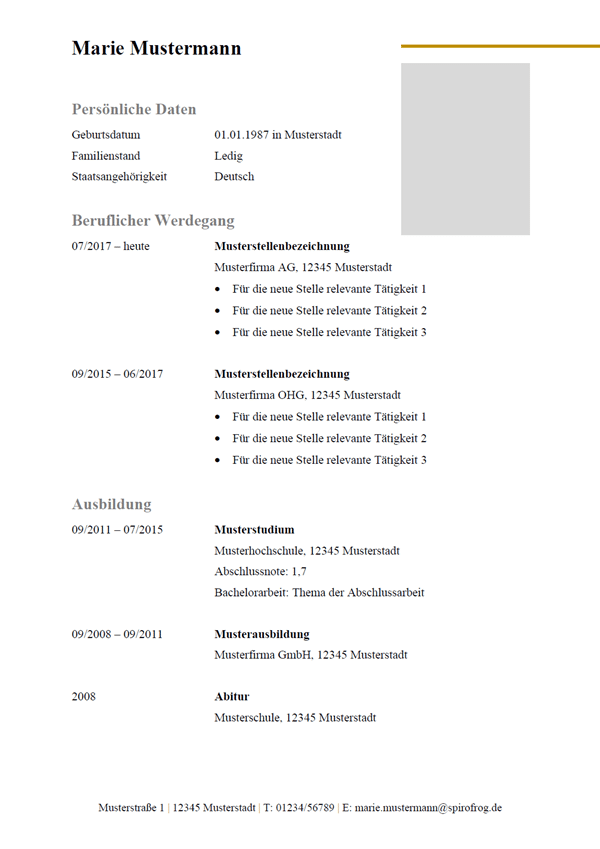 Vorlage / Muster: Lebenslauf Design-Vorlage 7