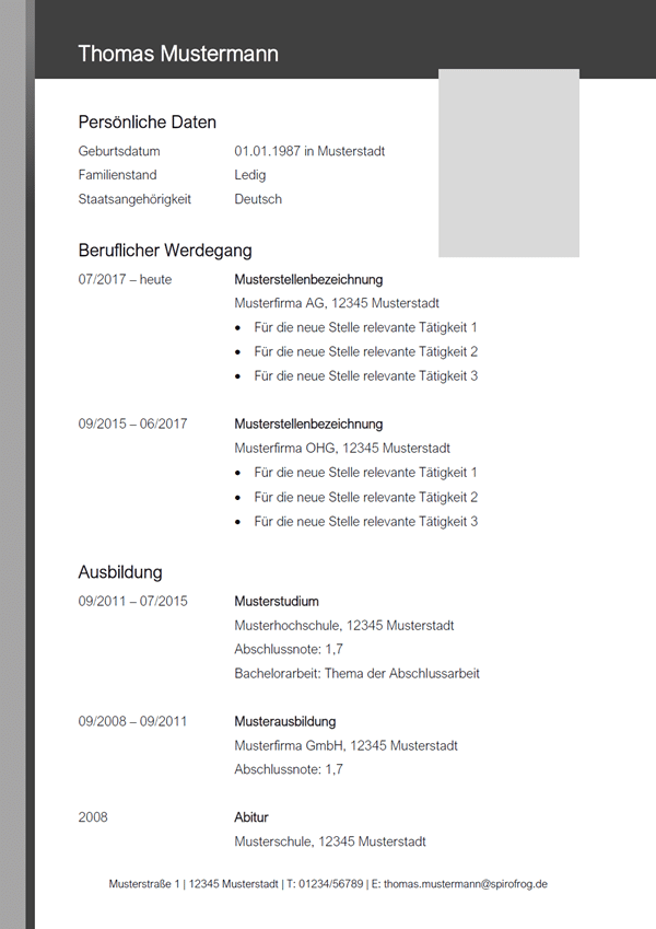 Vorlage / Muster: CV-Layout 17