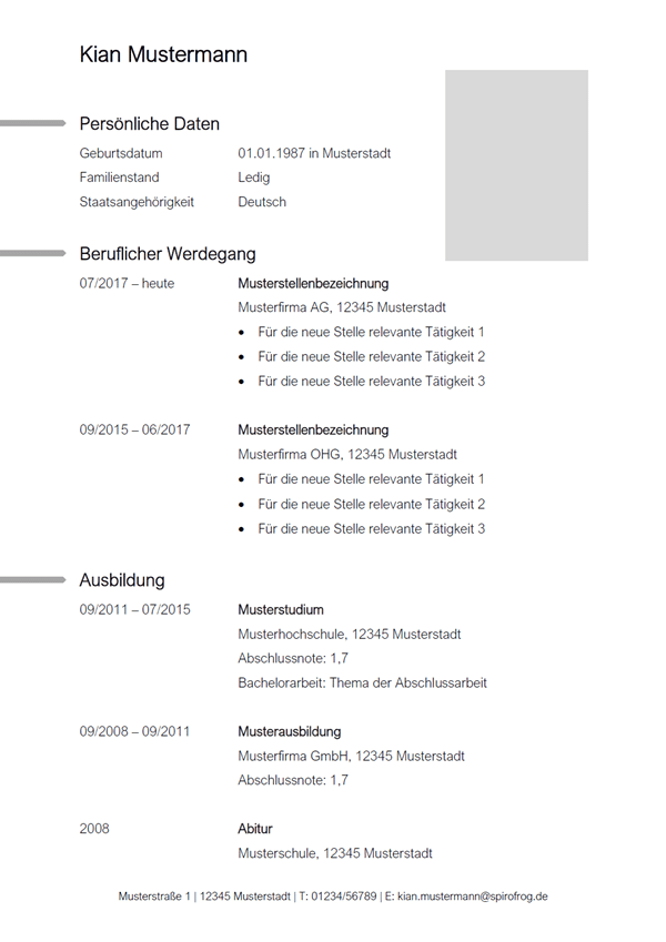 Vorlage / Muster: CV-Vorlage 10