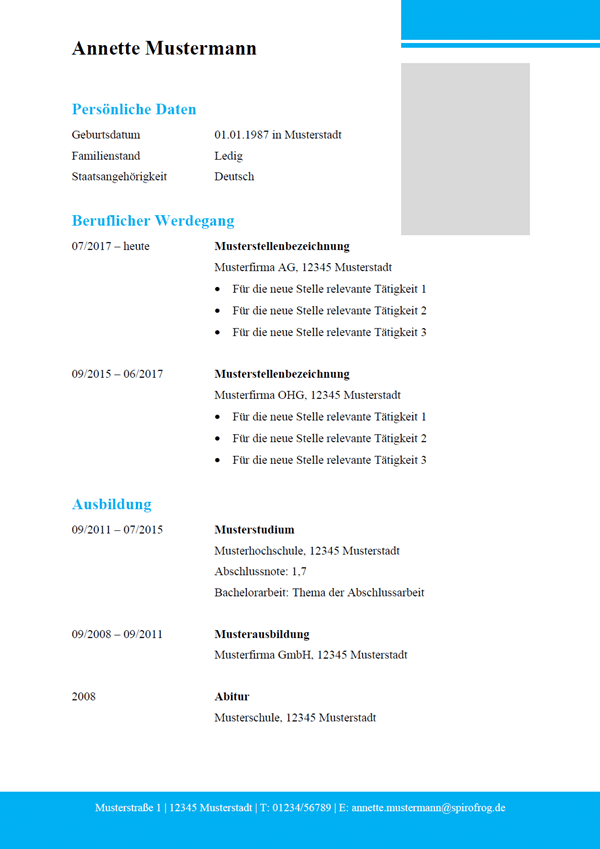 Vorlage / Muster: Lebenslauf modern 12