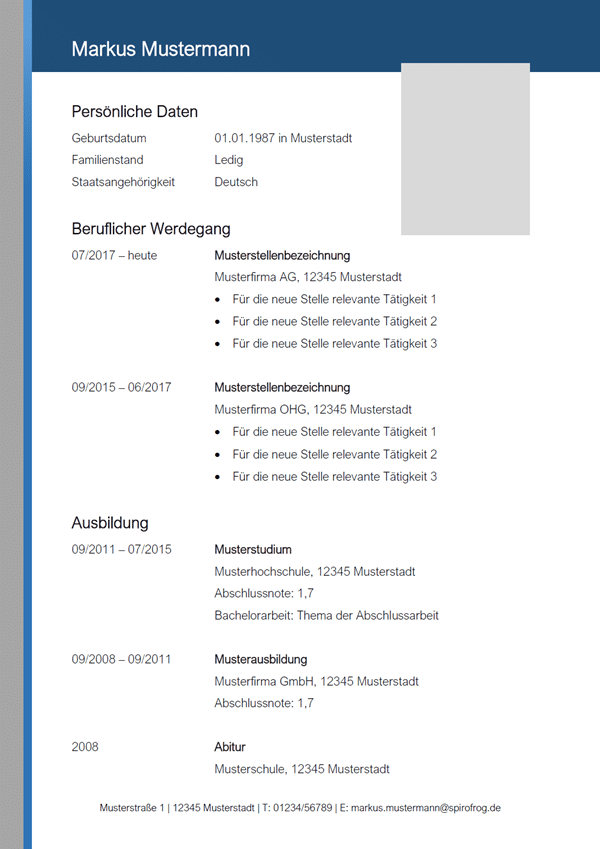 Vorlage / Muster: Lebenslauf-Muster 11