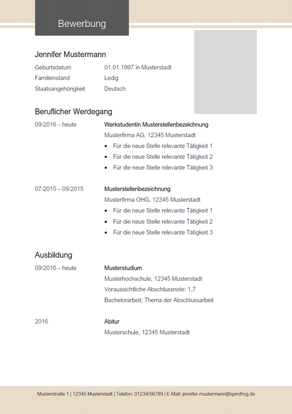 Vorlage / Muster: Lebenslauf-Vorlage 2020