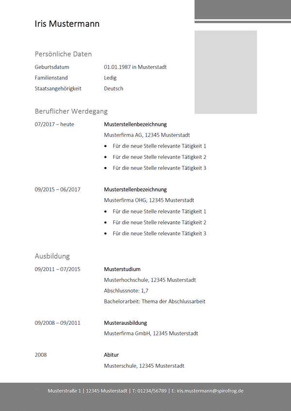 Vorlage / Muster: Lebenslauf 19