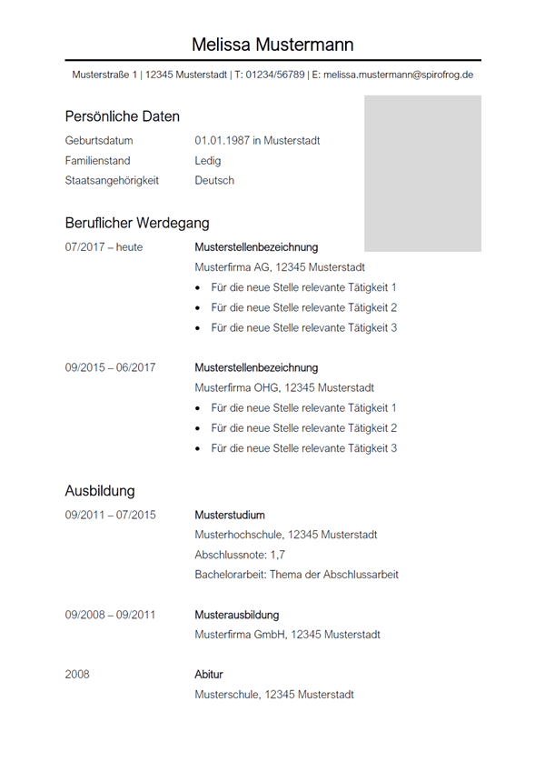 Vorlage / Muster: Lebenslauf 21