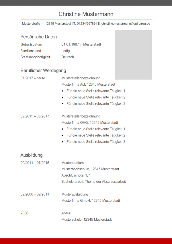 Vorlage / Muster: Lebenslauf 22