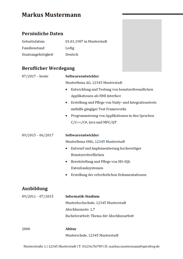 Vorlage / Muster: Lebenslauf Softwareentwickler / Softwareentwicklerin