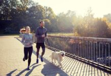 Zwei Menschen laufen mit dem Hund, was sind Hobbys im Lebenslauf?