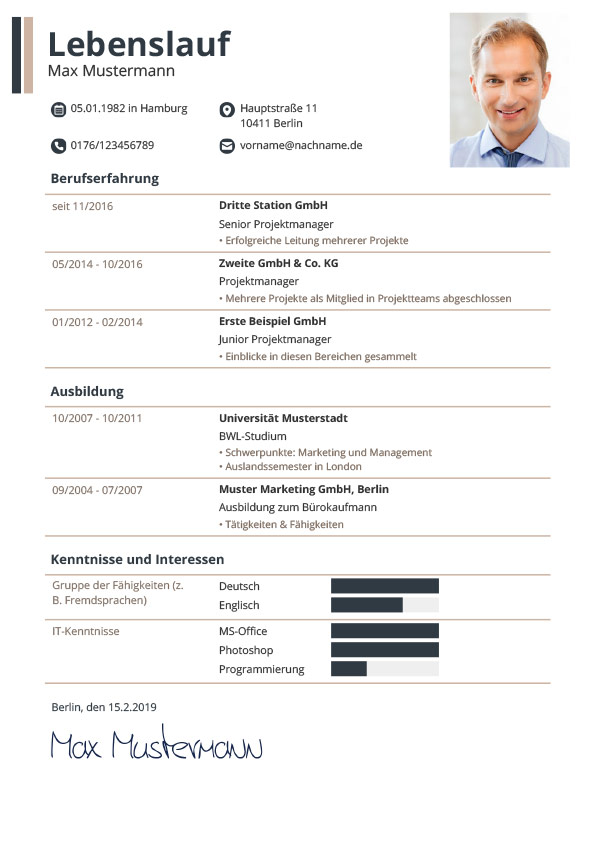 lebenslauf mit icons